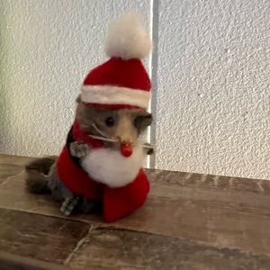 Santa Mouse